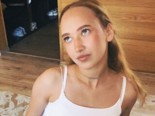 livesex camera VeniceMidden